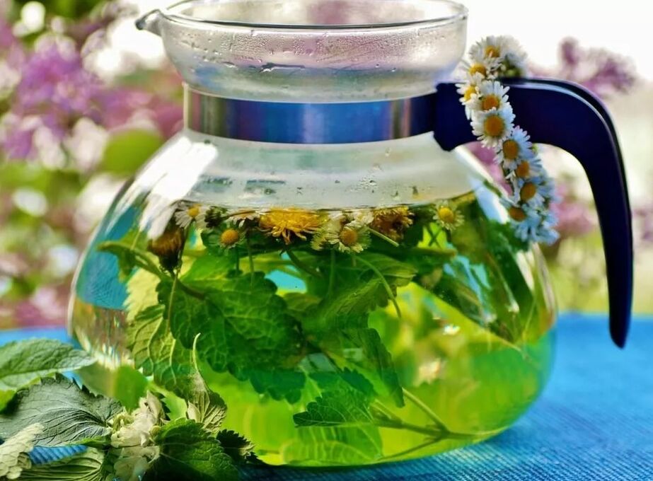 Infusion of the collection of herbs from varicose veins